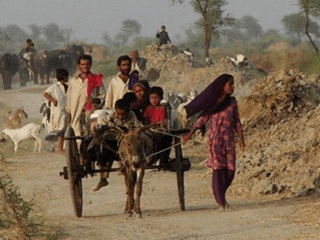 Poverty page- poor family on donkey cart