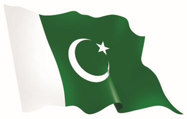Taxes page- Pakistan flag
